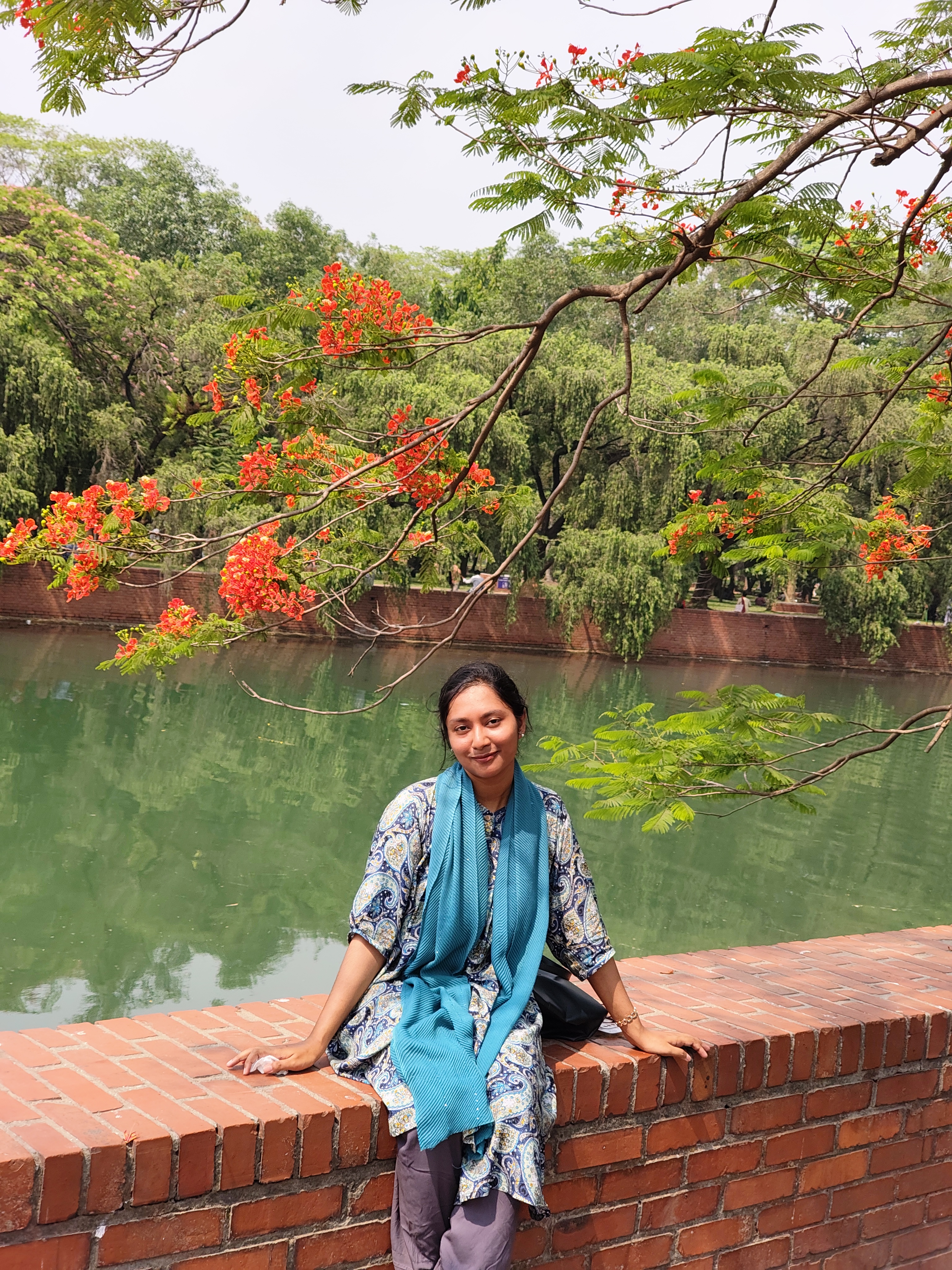 Tutor